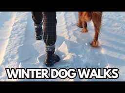 How to Keep Your Hands Warm While Rewarding Your Dog on Winter Walks