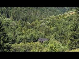 An abandoned forest cabin Far from Civilization. Bushcraft survival in the forest.