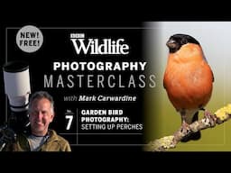 Episode Seven: Garden bird photography – setting up perches