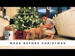 The Week Before Christmas