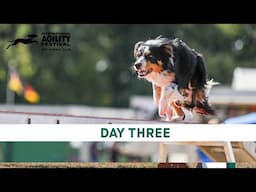 The Kennel Club International Agility Festival 2024 | Day 3 Main Ring