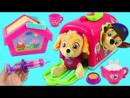 Paw Patrol Skye & Chase Use Pet Carrier to Visit Toy Doctor!