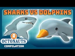 @Octonauts - 🦈 Sharks vs Dolphins 🐬 | 3 Hours+ Full Episodes Marathon