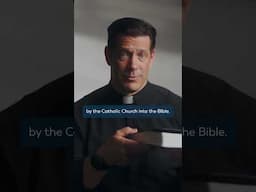 "The Entire Bible... in 10 Minutes?" (feat. Fr. Mike Schmitz) #shorts