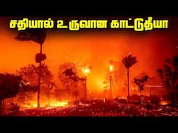 சதியால் உருவான காட்டுத்தீயா  - Wildfire Types