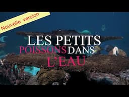 Apprenez le Français avec les Paroles : Les petits poissons dans l’eau.| Learn French with Lyrics