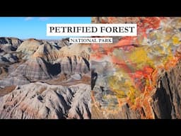 The vibrant colors of PETRIFIED FOREST National Park had us stunned! | One Day Arizona Travel Guide