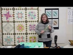 Cindy Bee's Sew Along 2024: INTRO (recording of Live stream)