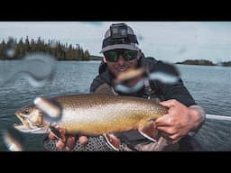 Fly Fishing Lake Superior Coaster Brook Trout | Dark Waters Fly Shop