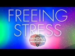 Learn to free your stress | The Big White House Guided Meditation