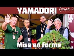 Mise en Forme du Pin Sylvestre Yamadori par Manu Turpin à BCEx 2024 - Partie 2 -🌱 NEJIKAN BONSAI 🌱