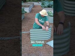 No Tools Needed Garden Bed! #garden #raisedbedgarden