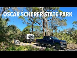 Oscar Scherer State Park Information:  Things to Do + Footage of Campground Sites!