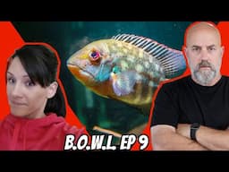 These Fish Are Not What You Think, A Special Guest and a GIVEAWAY! B.O.W.L. Ep. 9