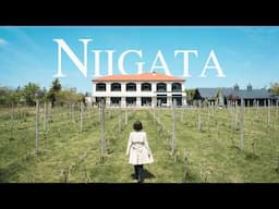 Exploring Niigata city & Staying in a Winery