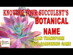 Knowing Your Succulents Botanical Name Can Transform Your Gardening Game!