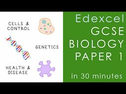 All of Edexcel BIOLOGY Paper 1 in 30 minutes - GCSE Science Revision