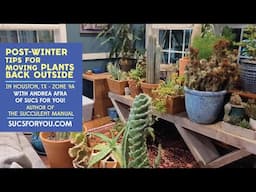 Post-Winter Tips for Moving Plants Back Outside