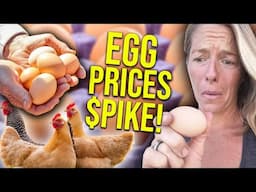 USDA: egg prices will spike in 2025 || Bryson Lipscomb