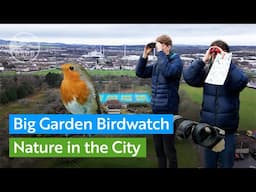 How the Big Garden Birdwatch is helping communities connect with nature in the city