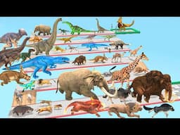 Animals vs Dinosaurs Speed Race Run Zigzag Down Course! from Outside Animal Revolt Battle Simulator