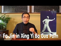 Hai Yang's Practice Proverb Series (44): Fa Jin in Xing Yi Ba Gua Palm