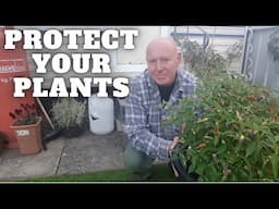 Protect Your Plants From The Cold