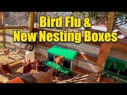 Bird Flu Update New Outbreaks - New Nesting Boxes