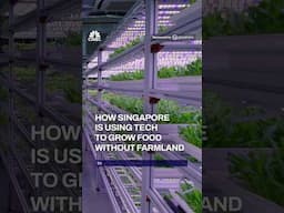 How one partnership is using tech to secure Singapore's food supply