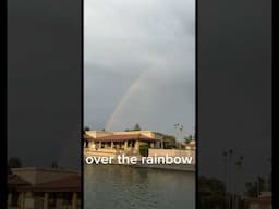 Somewhere over the rainbow #shorts #shortsfeed #arizona #rainbow #storm #funny #ducks #petlover #sun