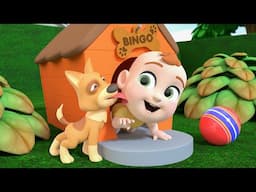 Bingo Song 🐶🎵 | Fun Nursery Rhyme for Kids | Sing Along & Learn with Little LaLa's