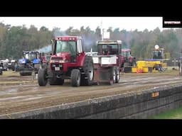 Standard 7500 kg - Laholms Pullingfestifal 2024