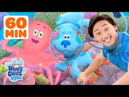 60 Minutes of Animal Friendship Adventures w/ Blue, Josh! 🐙 | Vlog Compilation | Blue's Clues & You!