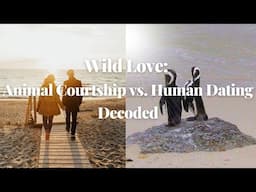 Wild Love: Animal Courtship vs  Human Dating Decoded