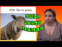 I Don't Wanna Be Grass!! | Daily Juicy Memes