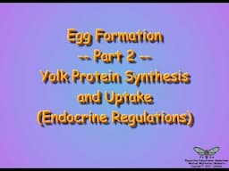 Vitellogenesis: Endocrine Regulations