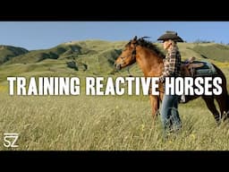 Chaos to Calm: How to Train with Reactive Horses