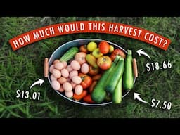 How Much Is A Garden Worth? Here's How Much THIS Harvest Could Cost From A Grocery Store