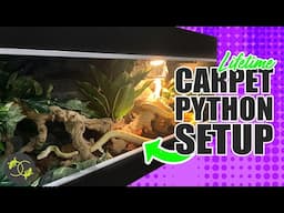 How to Setup an Adult Snake Enclosure - Cookies Critters - 2021