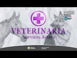 Trailer Programa Nuestro Ejército - Veterinaria, Servicio Activo - 28 de Diciembre 2024