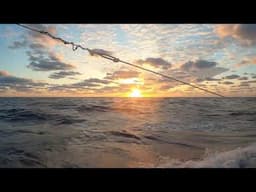 Sunset Sailing View