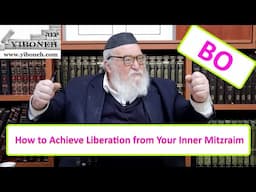 Rav Yitzchak Breitowitz: How to Achieve Liberation from Your Inner Mitzraim