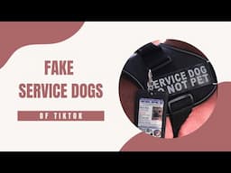 Fake Service Dogs of TikTok