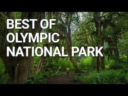 Top Things You NEED To Do In Olympic National Park