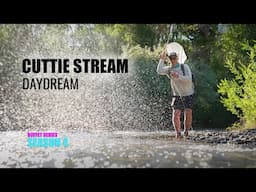 Cuttie Stream Daydream - Nothing But Dry Flies ALL DAY Long! - BS:S4 Episode 4