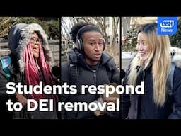 Students react to Northeastern University's decision to change DEI website