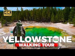 Yellowstone National Park Tour: Norris Geyser Basin  | 4K60fps