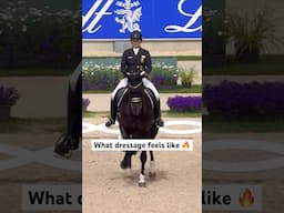 What dressage feels like 🔥 #dressage #isabellwerth #equestrian