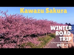 Road Trip | Ep-1 | Kawazu Sakura | Malayalam Travel Vlog | Japan | Tokyo 2021 | TrAvin Tales