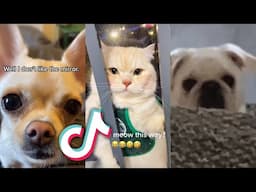 The CUTEST EVER TikTok ANIMALS AND PETS...